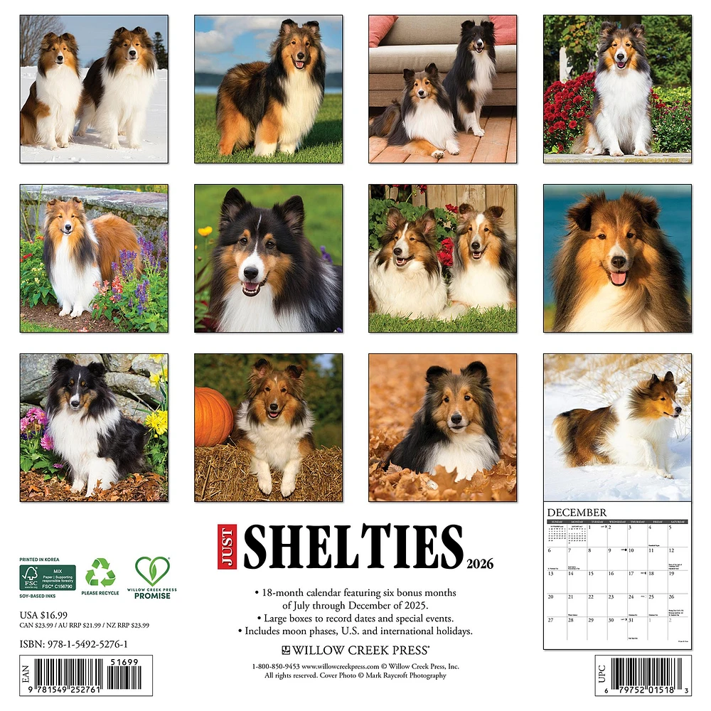 Just Shelties 2026 Wall Calendar
