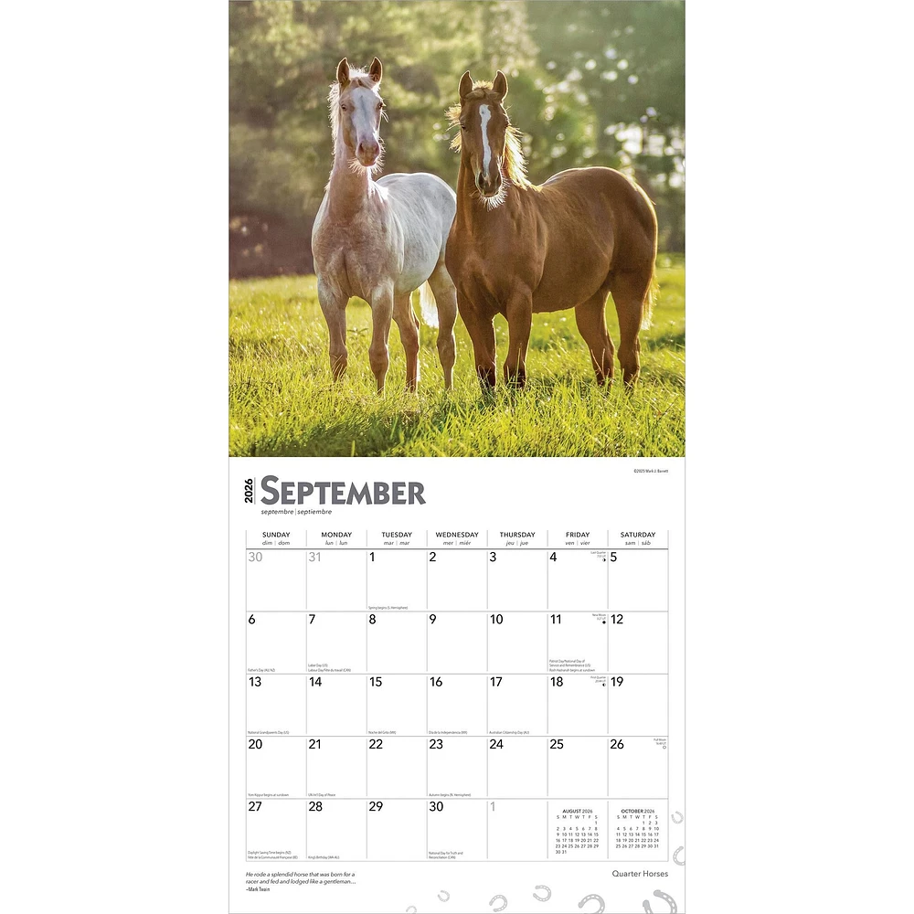 Quarter Horses 2026 Wall Calendar - Online Exclusive