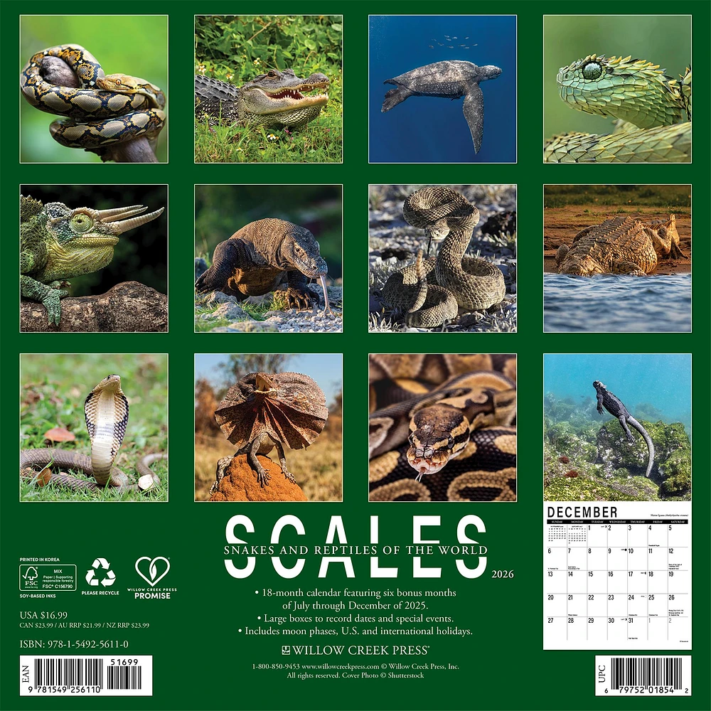 Scales 2026 Wall Calendar