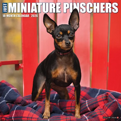 Just Miniature Pinschers 2026 Wall Calendar - Online Exclusive