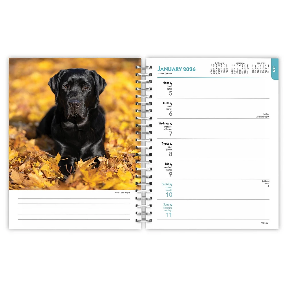 Black Labs 2026 Engagement Calendar - Online Exclusive