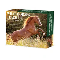 What Horses Teach Us 2026 Box Calendar