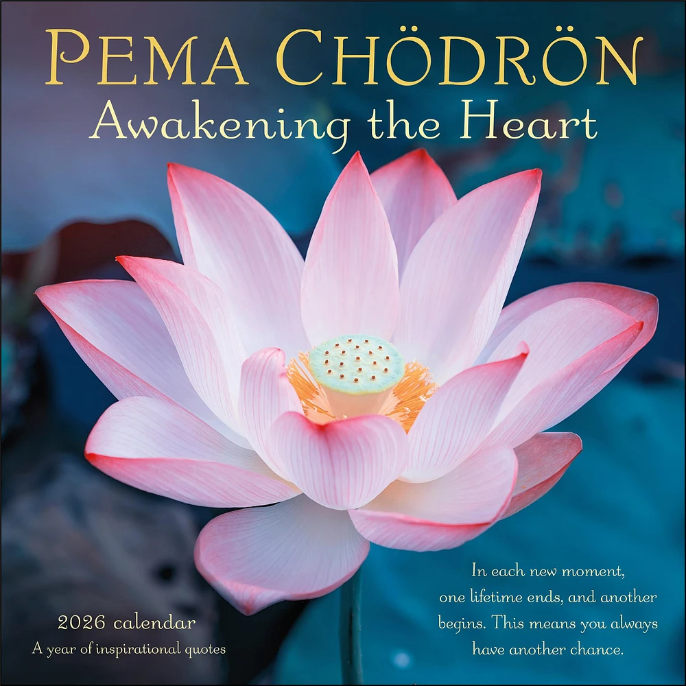 Pema Chödrön 2026 Wall Calendar - Online Exclusive