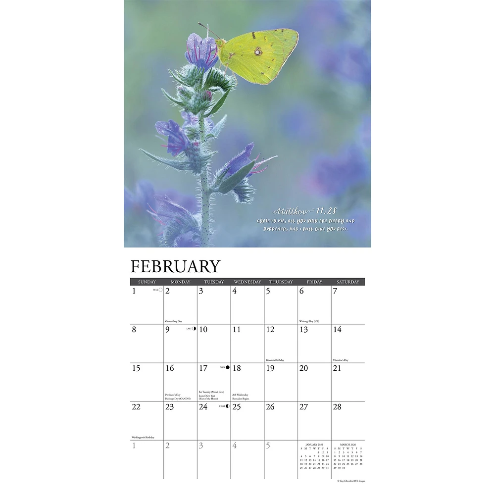 Gods Palette 2026 Wall Calendar - Online Exclusive