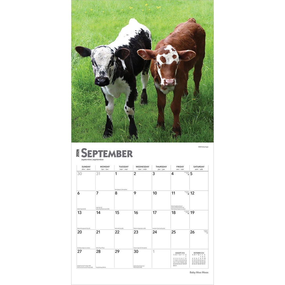 Baby Moo Moos 2026 Wall Calendar - Online Exclusive