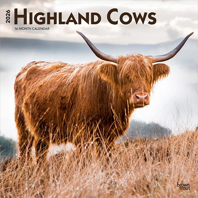 Highland Cows 2026 Wall Calendar
