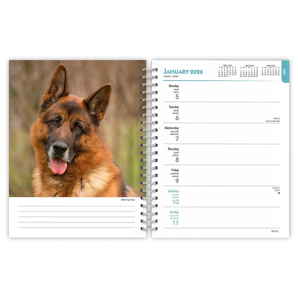 German Shepherds 2026 Engagement Calendar - Online Exclusive