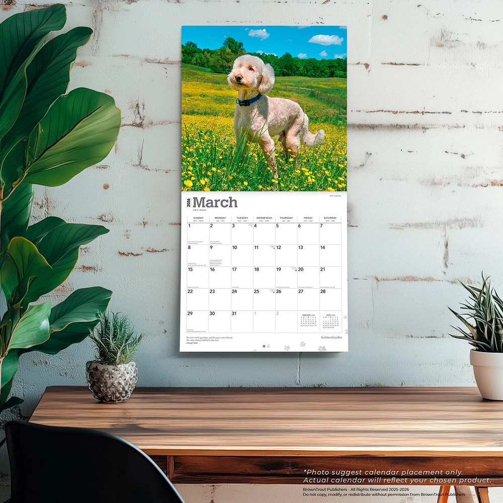Goldendoodles 2026 Wall Calendar