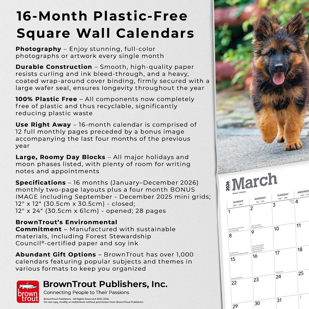 German Shepherds 2026 Wall Calendar - Online Exclusive