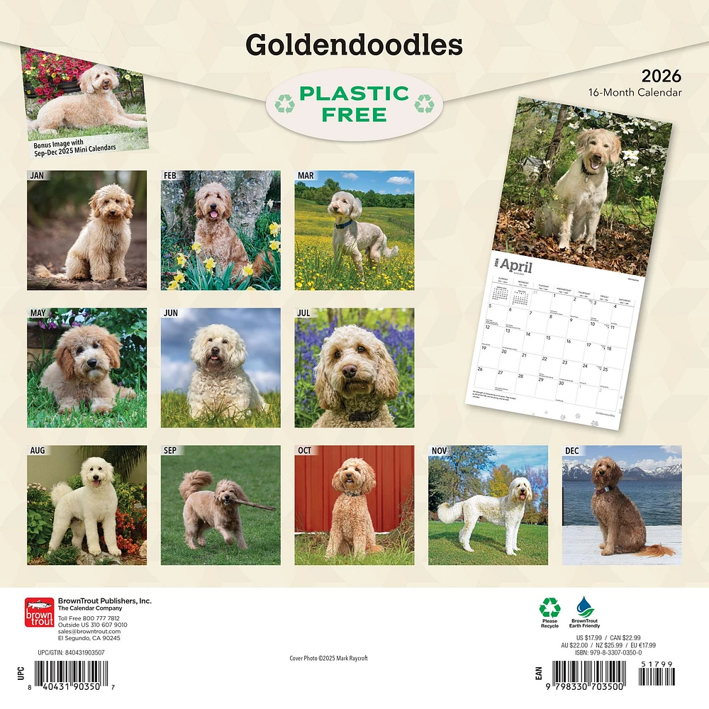 Goldendoodles 2026 Wall Calendar