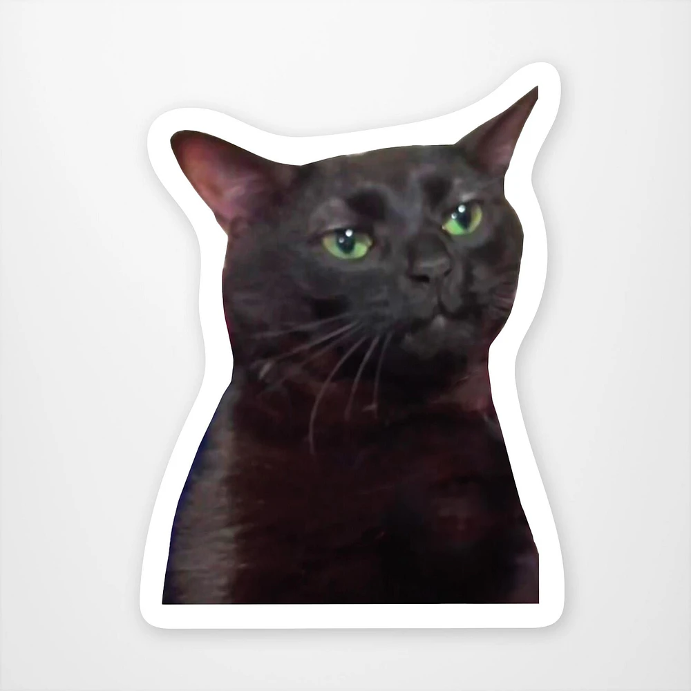 Zoned Out Cat Vinyl Sticker