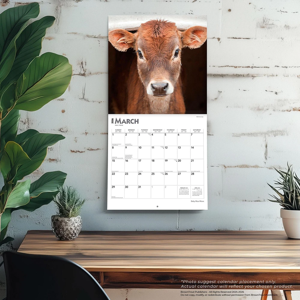 Baby Moo Moos 2026 Wall Calendar - Online Exclusive
