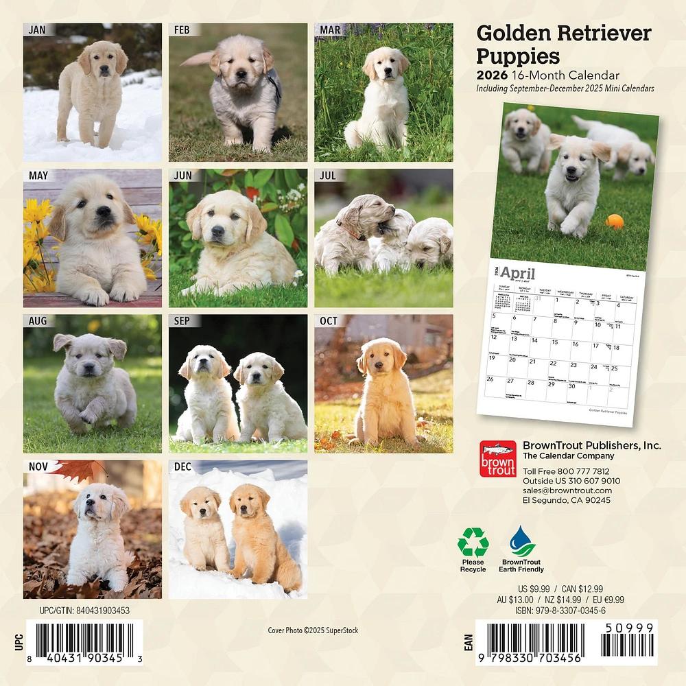 Golden Retriever Puppies 2026 Mini Calendar