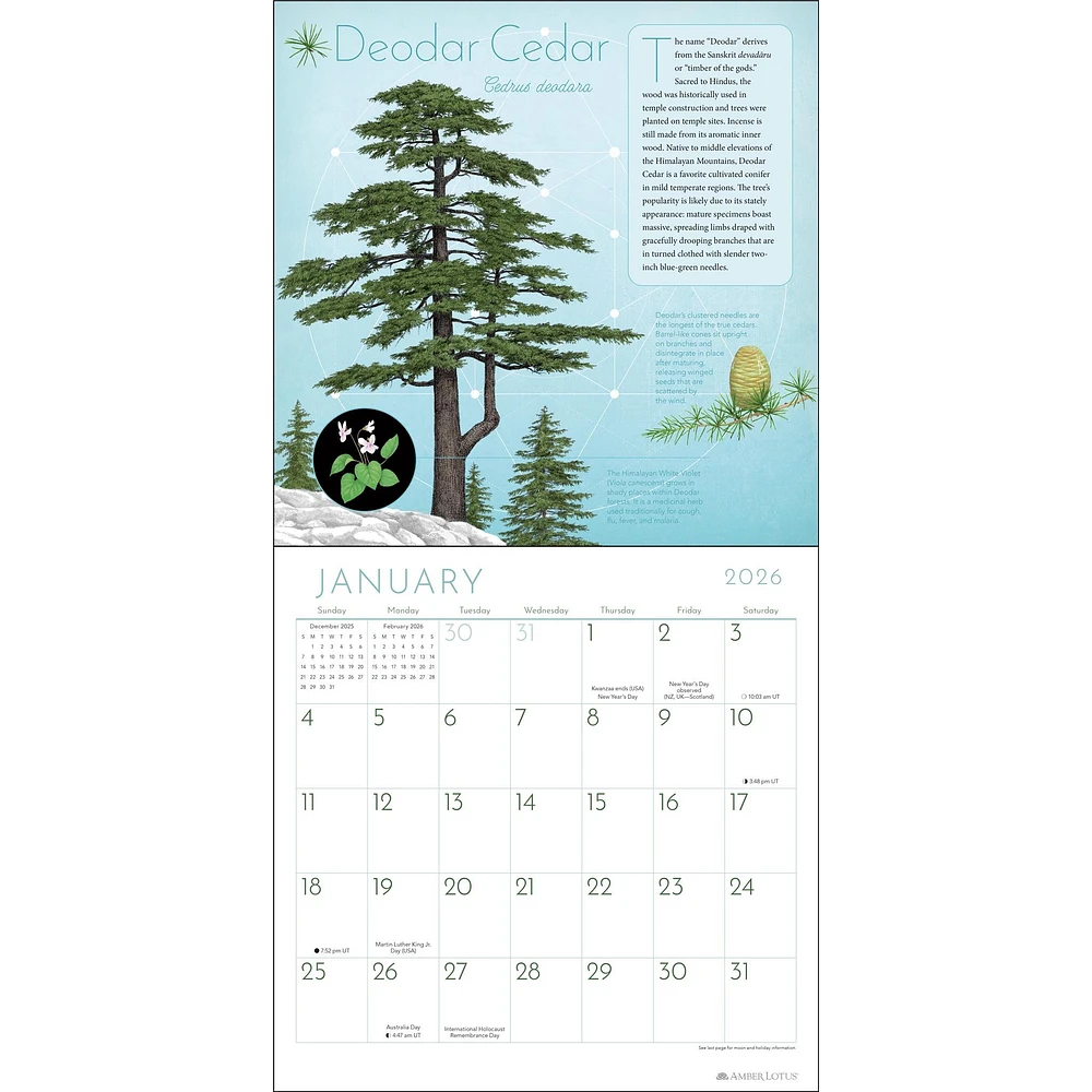 Trees Of Life 2026 Wall Calendar - Online Only