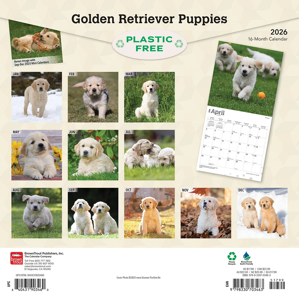 Golden Retriever Puppies 2026 Wall Calendar