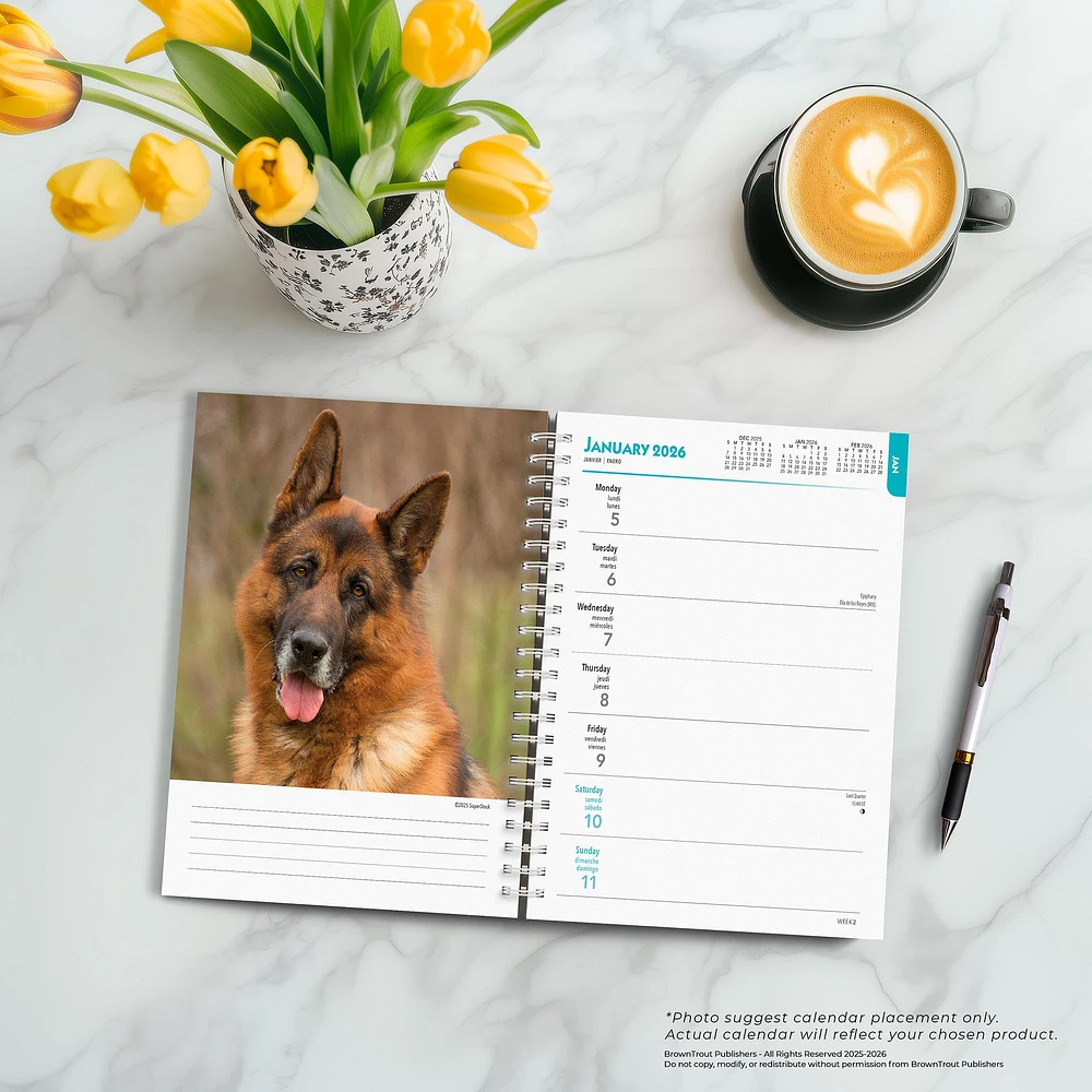 German Shepherds 2026 Engagement Calendar - Online Exclusive