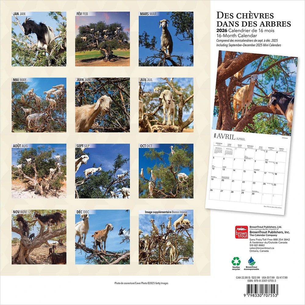 Des Chèvres Dans Des Arbres 2026 Wall Calendar (French)