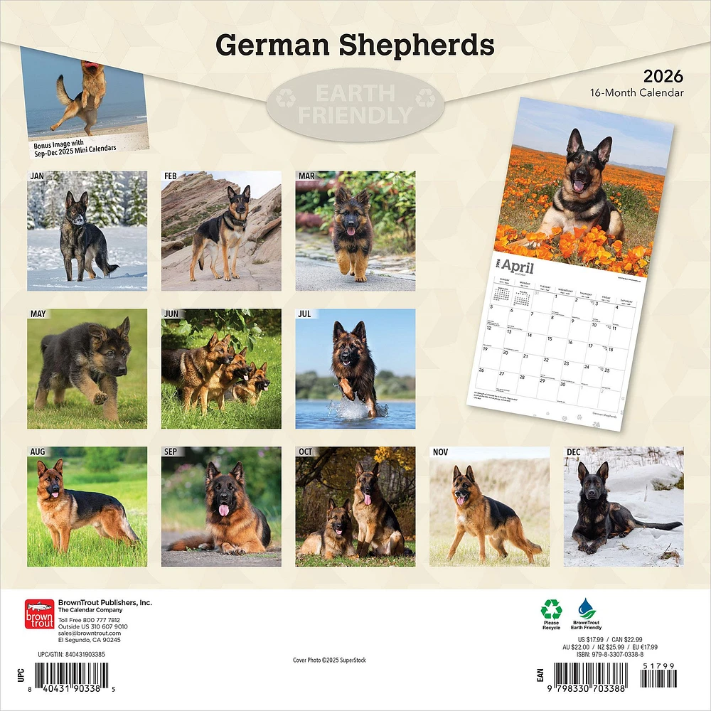 German Shepherds 2026 Wall Calendar - Online Exclusive