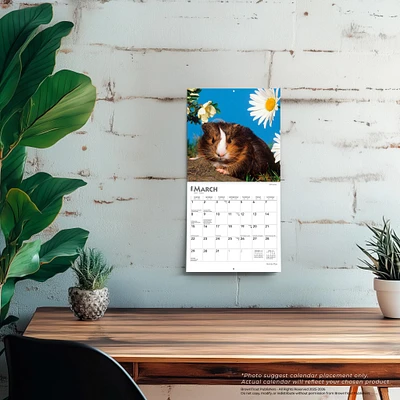 Guinea Pigs 2026 Mini Calendar