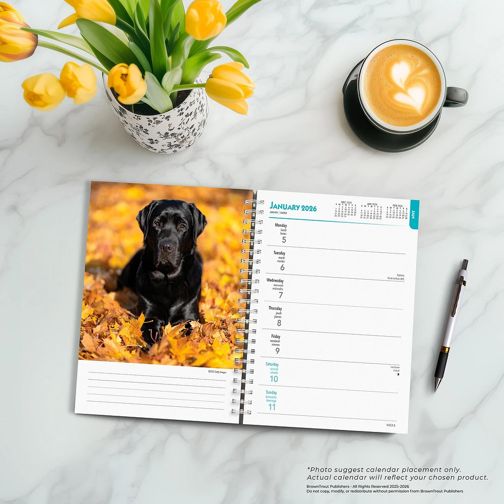 Black Labs 2026 Engagement Calendar - Online Exclusive