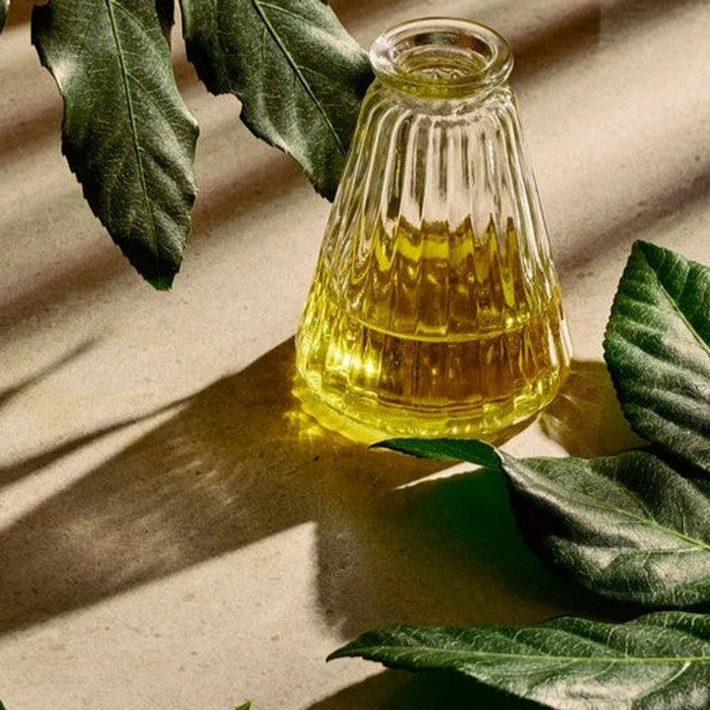 Hydrating & Protecting Hemp Gift Set