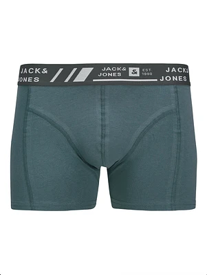 Angus short boxer: Stormy Weather