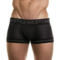 Boxer court Touchown Ninja
