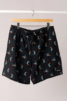 Cannonball Volley Boardshorts