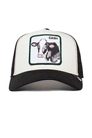 Unisex Cash Cow Trucker Hat