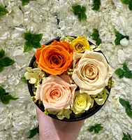 XS Round Fairytale Garden