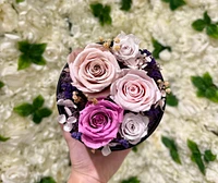 XS Round Fairytale Garden