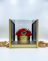 Rose Dome Case Box