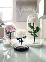 Medium Enchanted Glass Dome