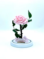 Medium Enchanted Glass Dome