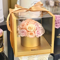 Rose Dome Case Box