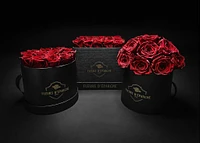 Romance Red Classic Rose Bucket