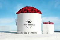 Romance Red Classic Rose Bucket