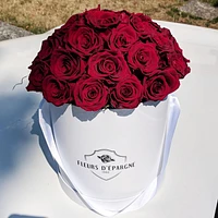 Super Dome Classic Rose Bucket