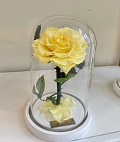 Medium Enchanted Glass Dome (Guildford Location Only)