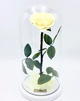 Enchanted Rose in Glass Dome