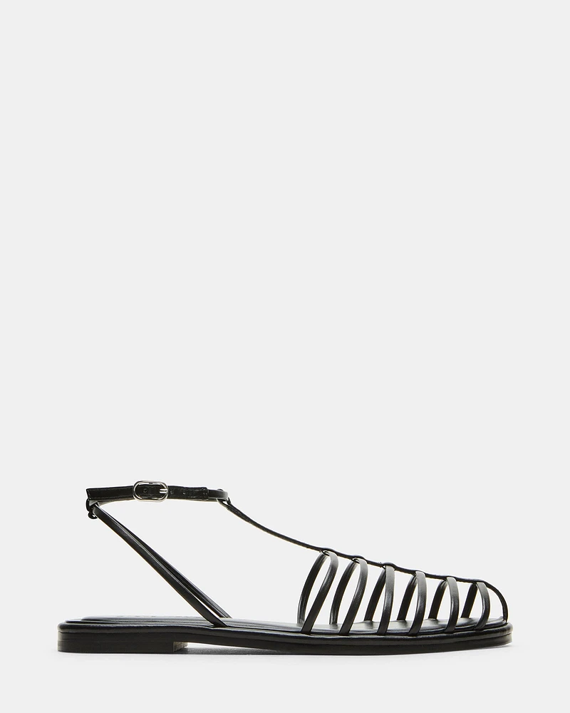 MARIN BLACK