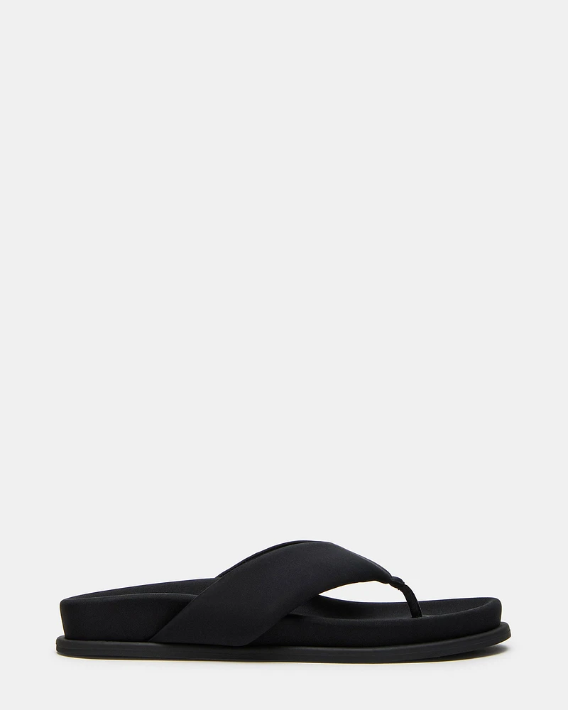 ZINNIA BLACK