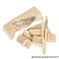 Dinosaur Teeth Excavation Kit