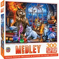 Medley - Caretakers of the Study - 300 Piece EzGrip Puzzle
