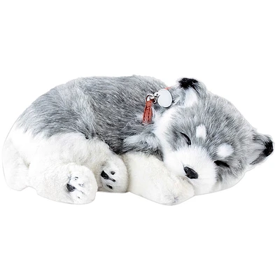 Perfect Petzzz Alaskan Husky