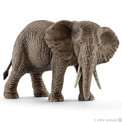 African Elephant