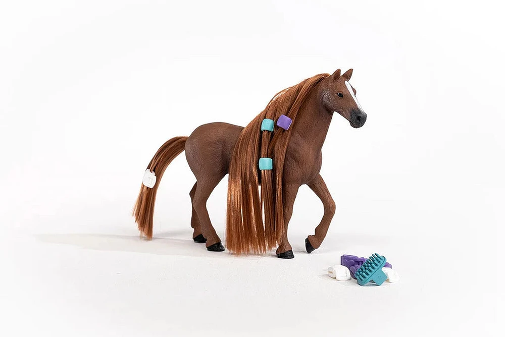 Beauty Horse English Thoroughbred Mare
