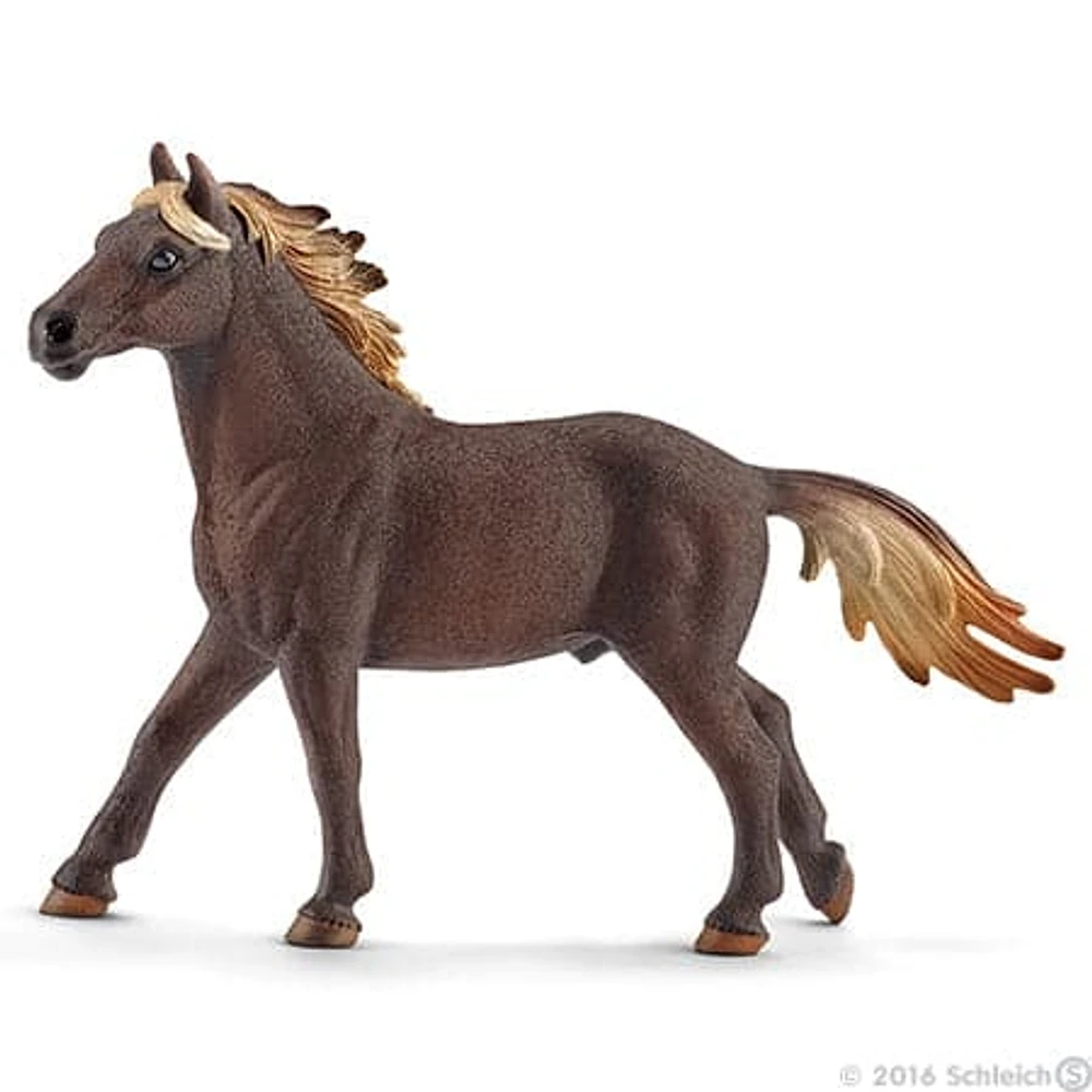 Mustang Stallion