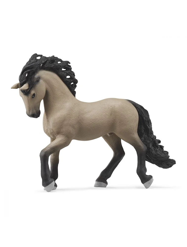 Pura Raza Espanola Stallion Gray