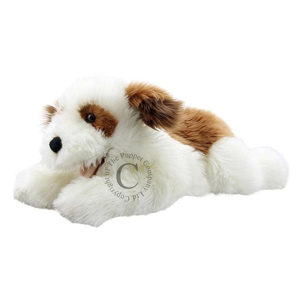 Playful Puppy - Brown & White